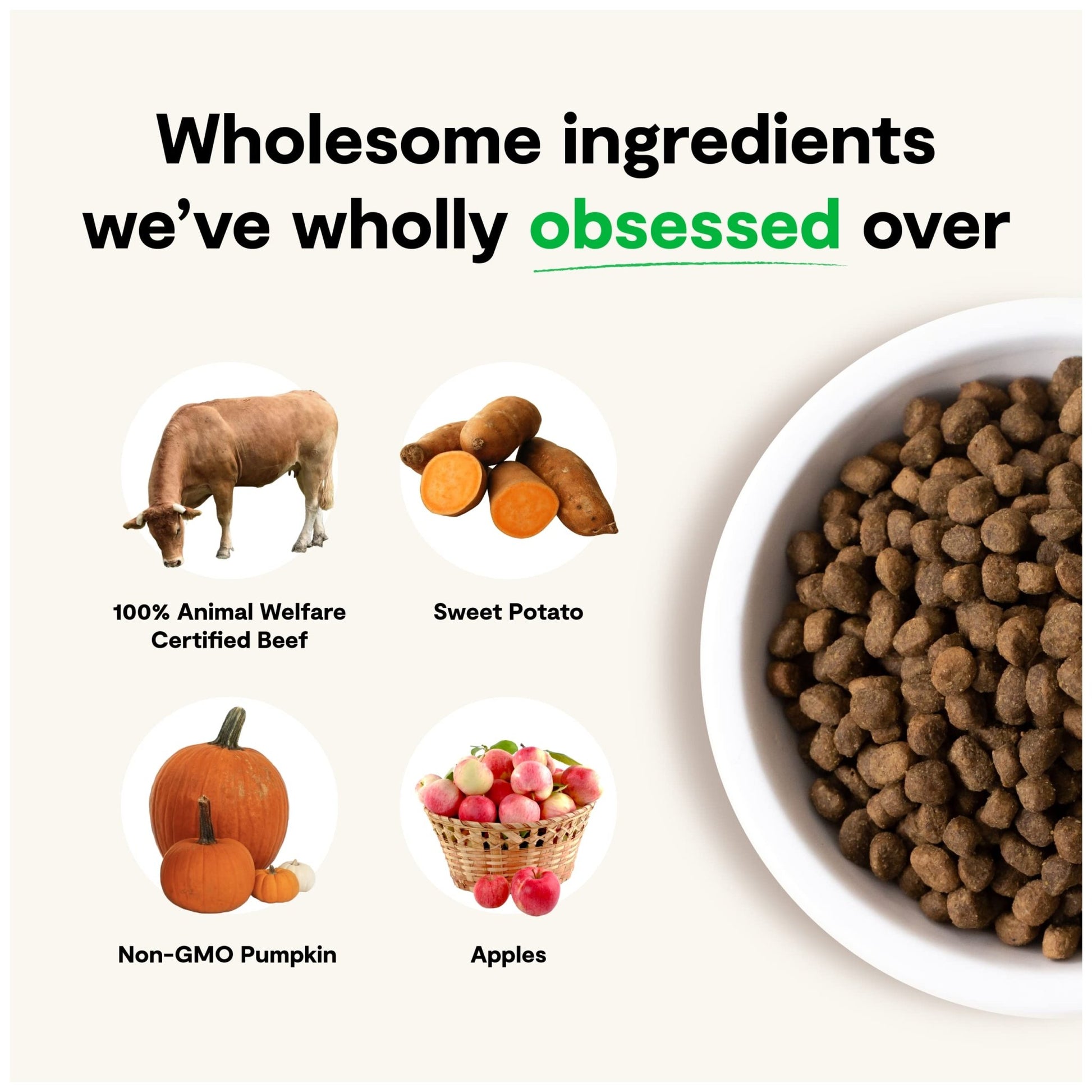 Open Farm Grass - Fed Beef Grain - Free Dry Dog Food – 100% Humanely Raised Wagyu Recipe with Non - GMO Superfoods (4 lbs)