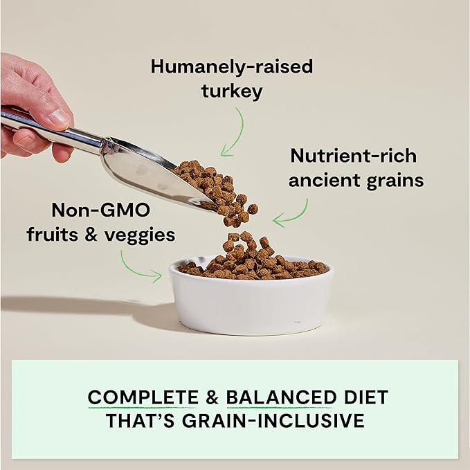 Open Farm Homestead Turkey with Quinoa and Pumpkin