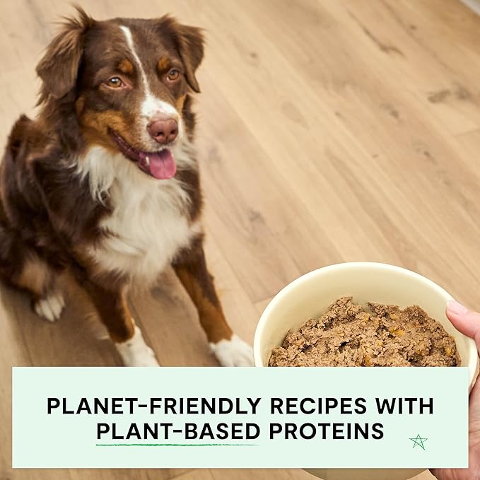 Open farm kind earth plant recipe wet canned dog food 12.5oz