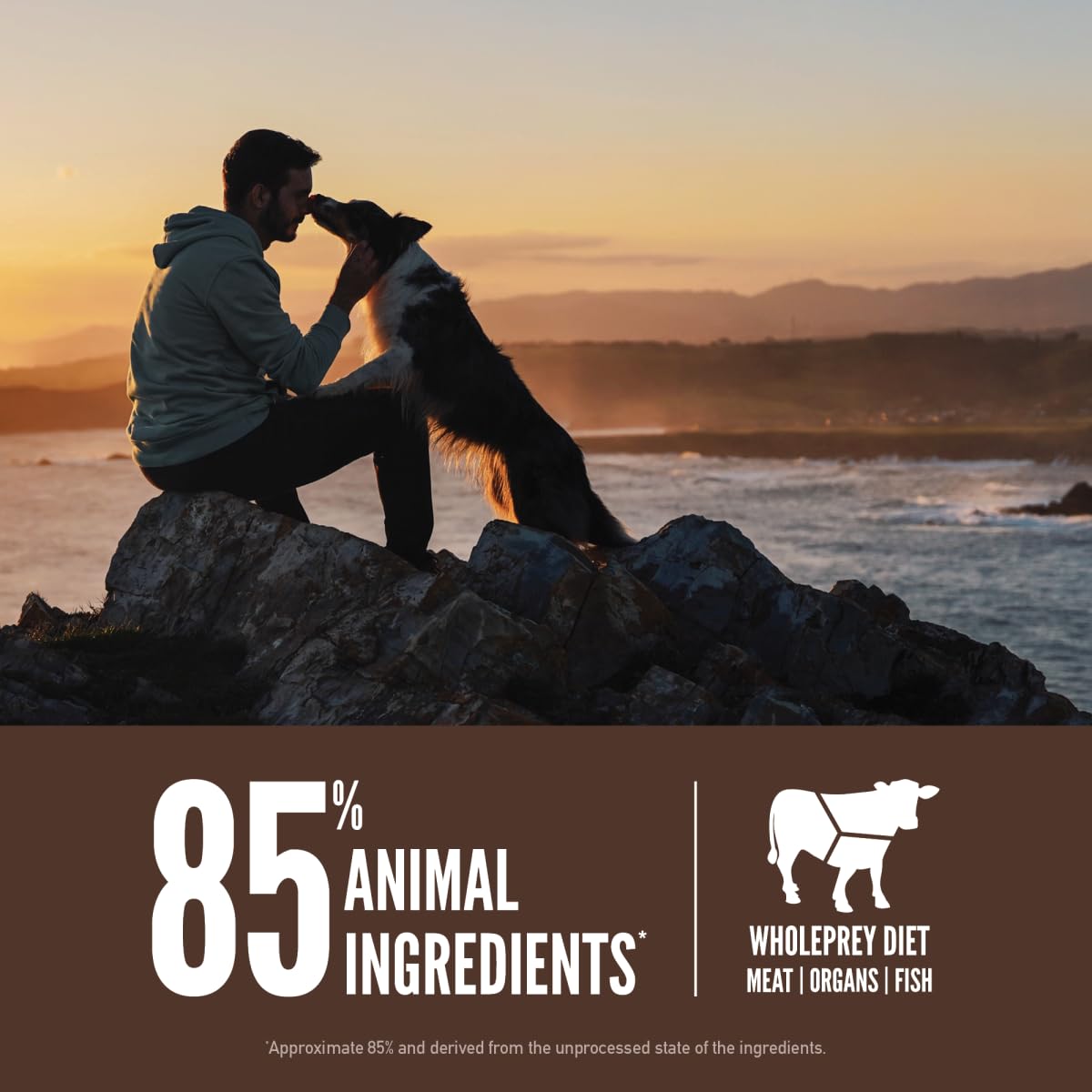 Orijen Regional Red Dry Dog Food – Grain - Free & Poultry - Free, 4.5 lb