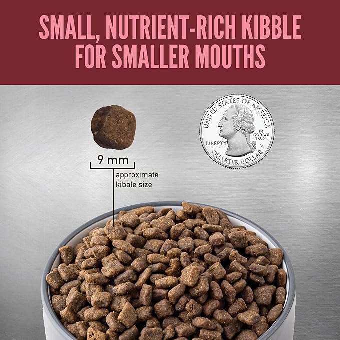 Orijen small breed Turkey chicken fish dry dog food kibble 4lb