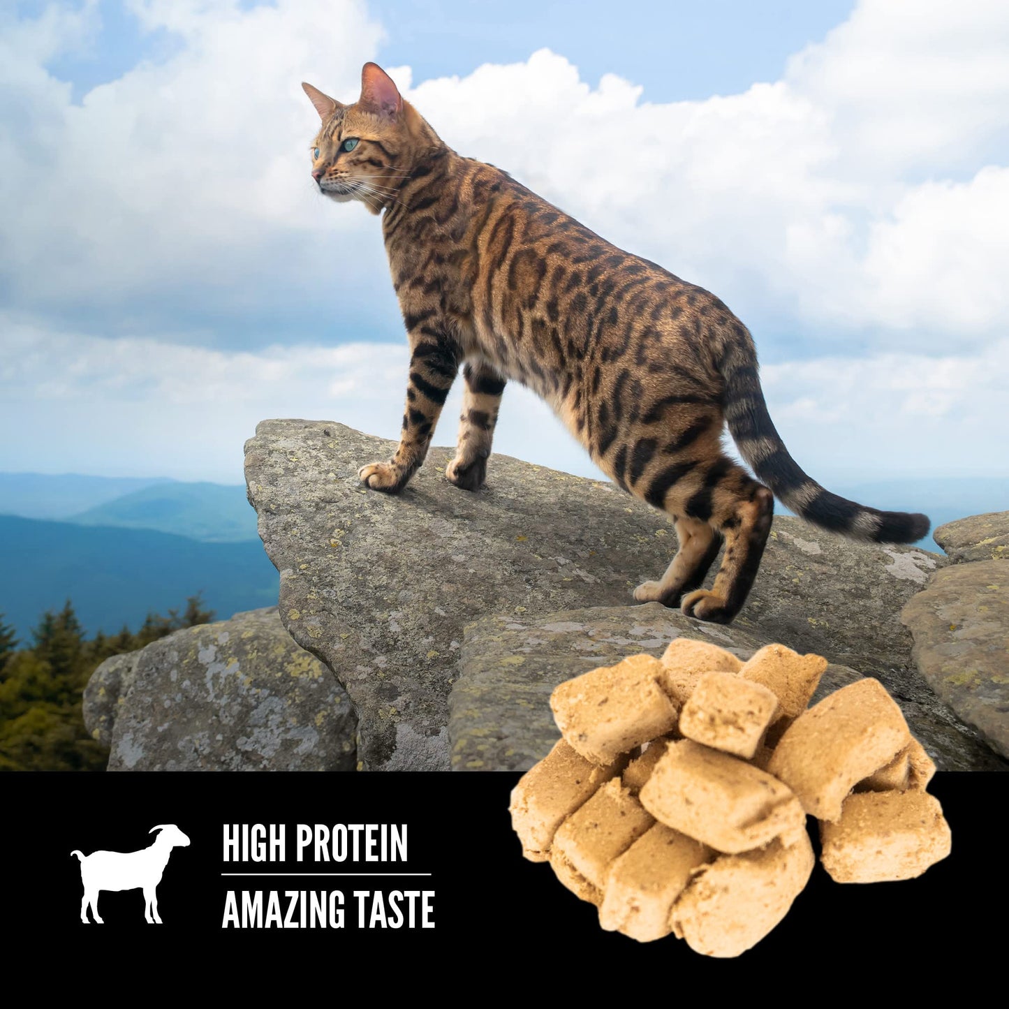 Orijen Tundra Freeze Dried Cat Treats, Grain Free Treats For Cats, Wholeprey Ingredients, 1.25Oz