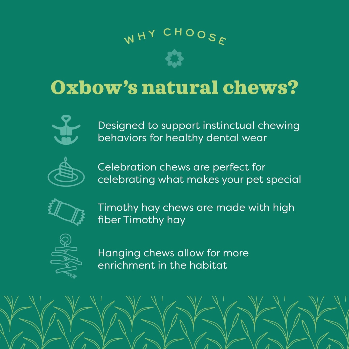 Oxbow Enriched Life Birthday Party Pack | Small Pet Toy - Great For Guinea Pigs, Rabbits