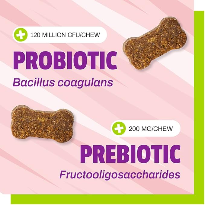 Pet Naturals Daily Dog Probiotic 60 count