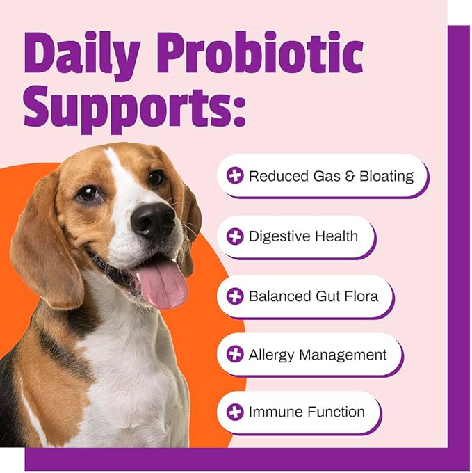 Pet Naturals Daily Dog Probiotic 60 count