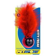 Pet sport kitty freak ladybug