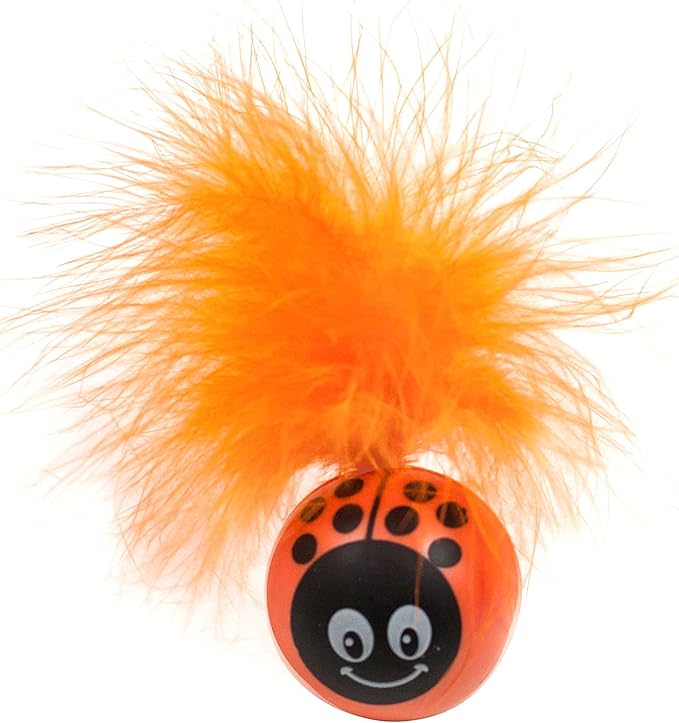 Pet sport kitty freak ladybug
