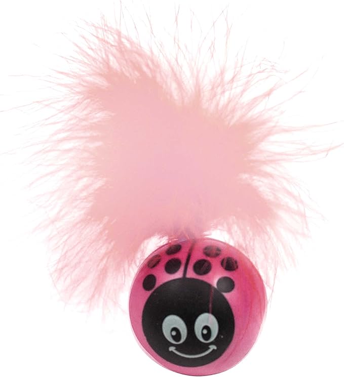 Pet sport kitty freak ladybug