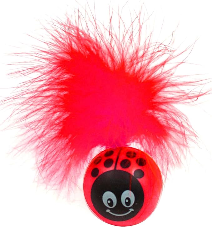 Pet sport kitty freak ladybug