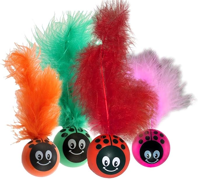 Pet sport kitty freak ladybug