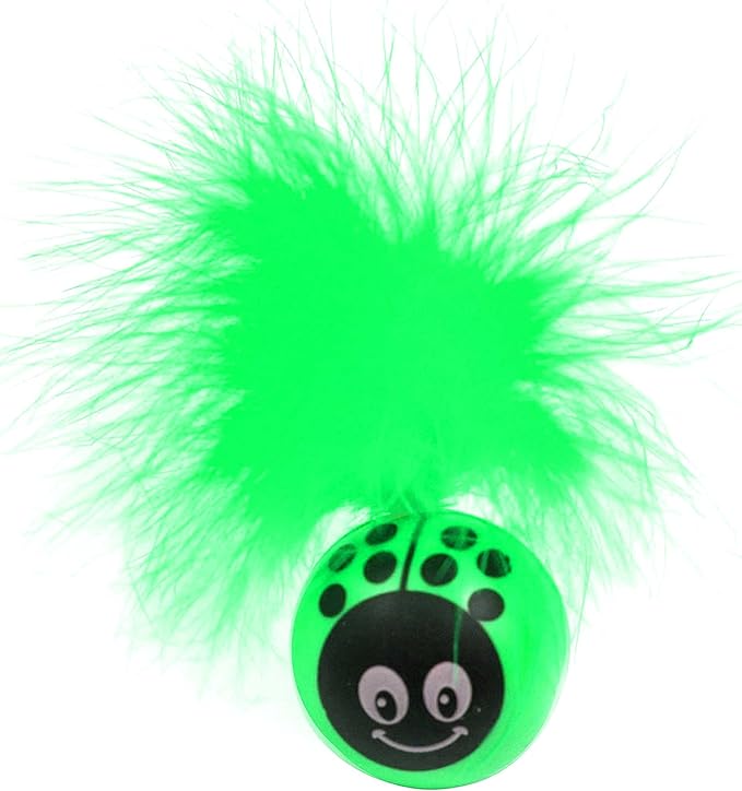 Pet sport kitty freak ladybug