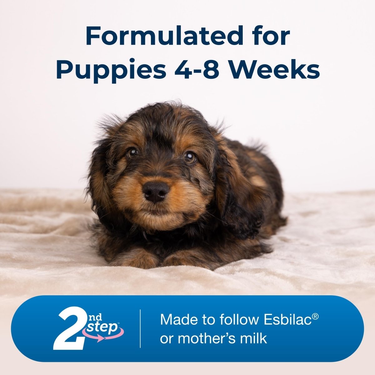 PetAg Esbilac 2nd Step Puppy Weaning Food - With Natural Milk Protein - Vitamins and Minerals for 4 - 8 Week - Old Puppies - 14 oz Powdered Mix