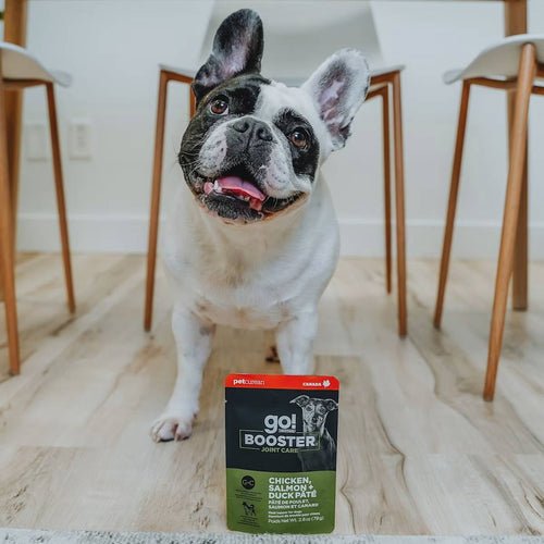 Petcurean go booster joint health - chicken salmon and duck pate