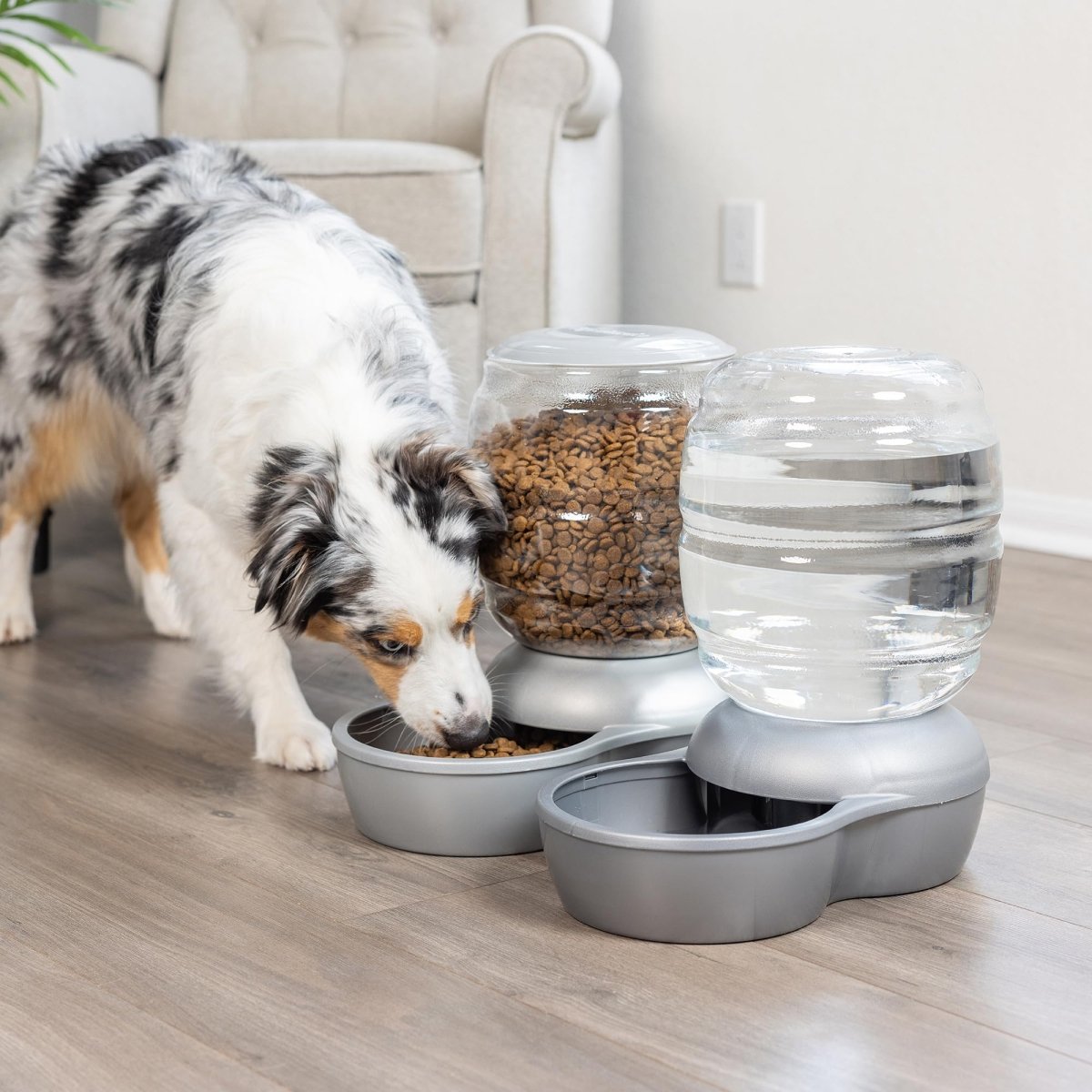 Petmate Replendish Automatic Gravity Waterer for Cats and Dogs - BPA - Free - No Batteries Required Includes Charcoal Filter - 2.5 Gallons - Silver