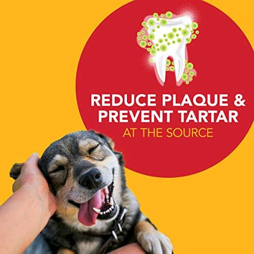 Petrodex advanced dental care toothpaste for dogs 2.5oz