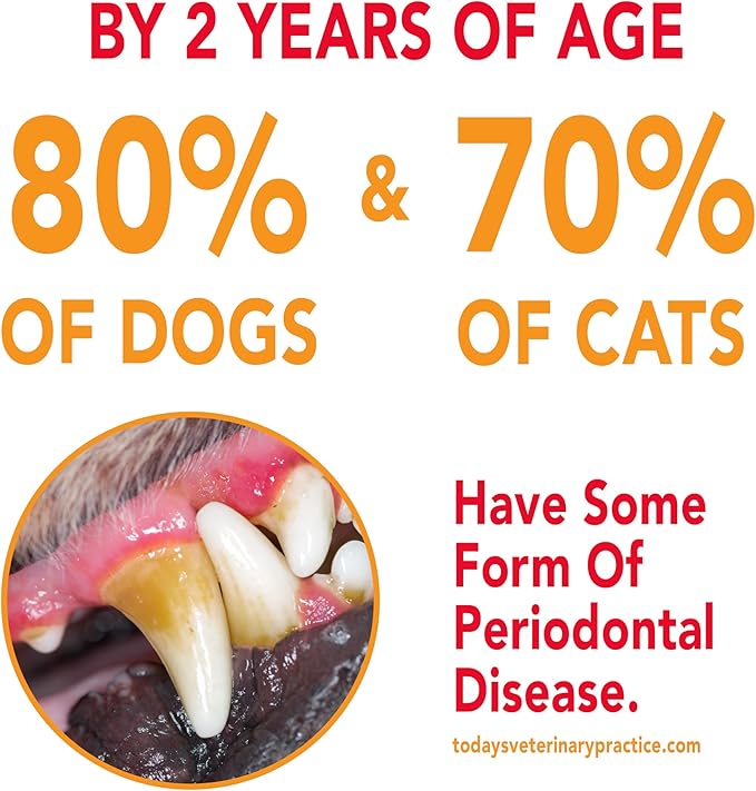 Petrodex advanced dental care toothpaste for dogs 2.5oz