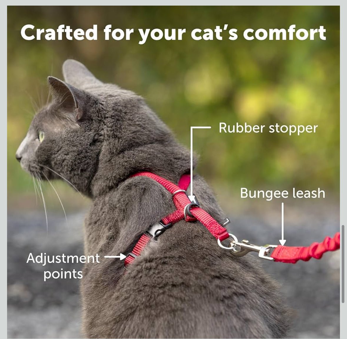 Petsafe come with me kitty harness and bungee leash