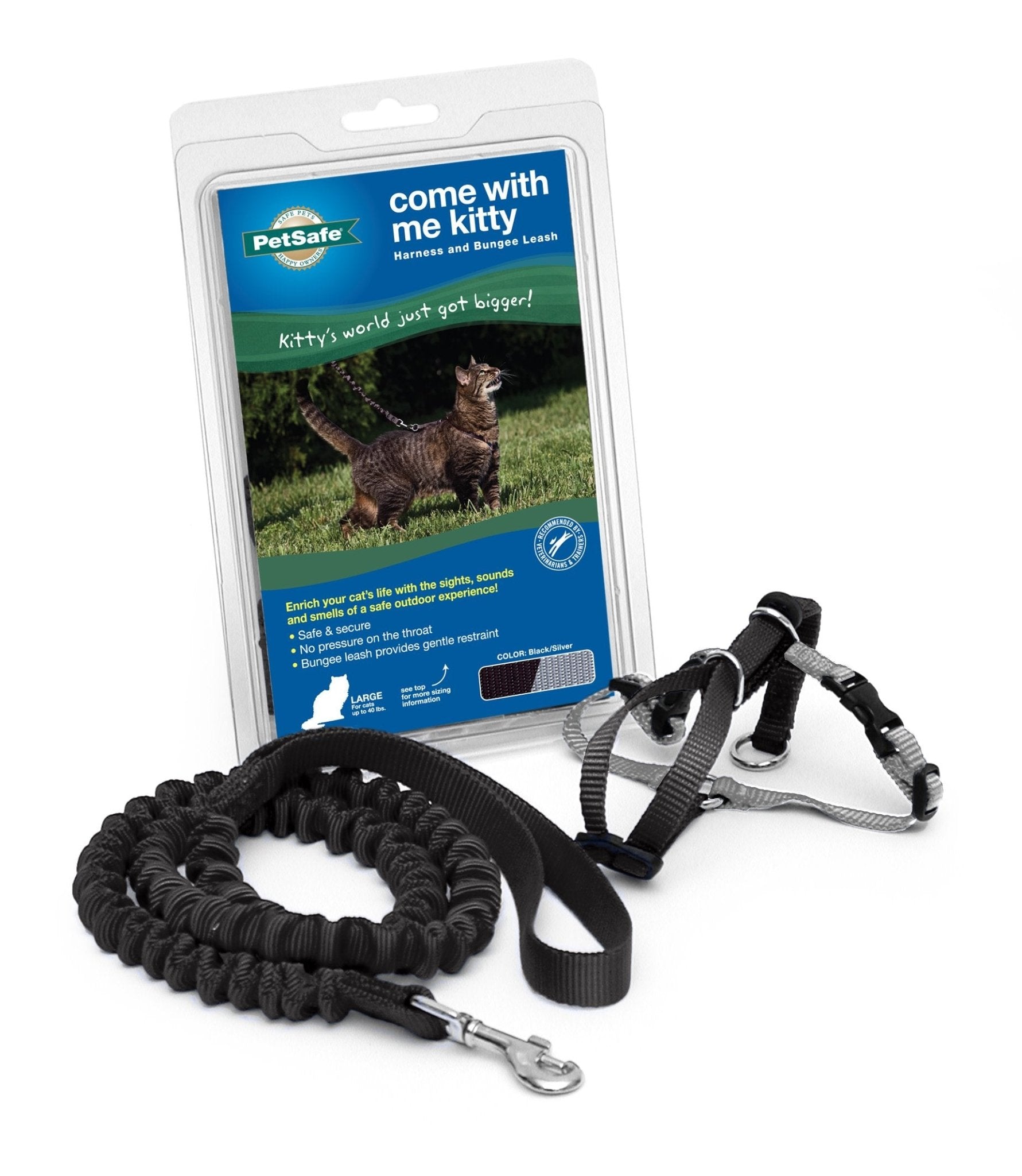 PetSafe Come with Me Kitty Harness and Bungee Leash, Large, Black