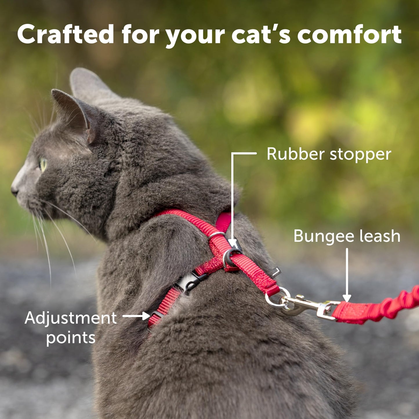 PetSafe Come with Me Kitty Harness and Bungee Leash, Small, Royal Blue