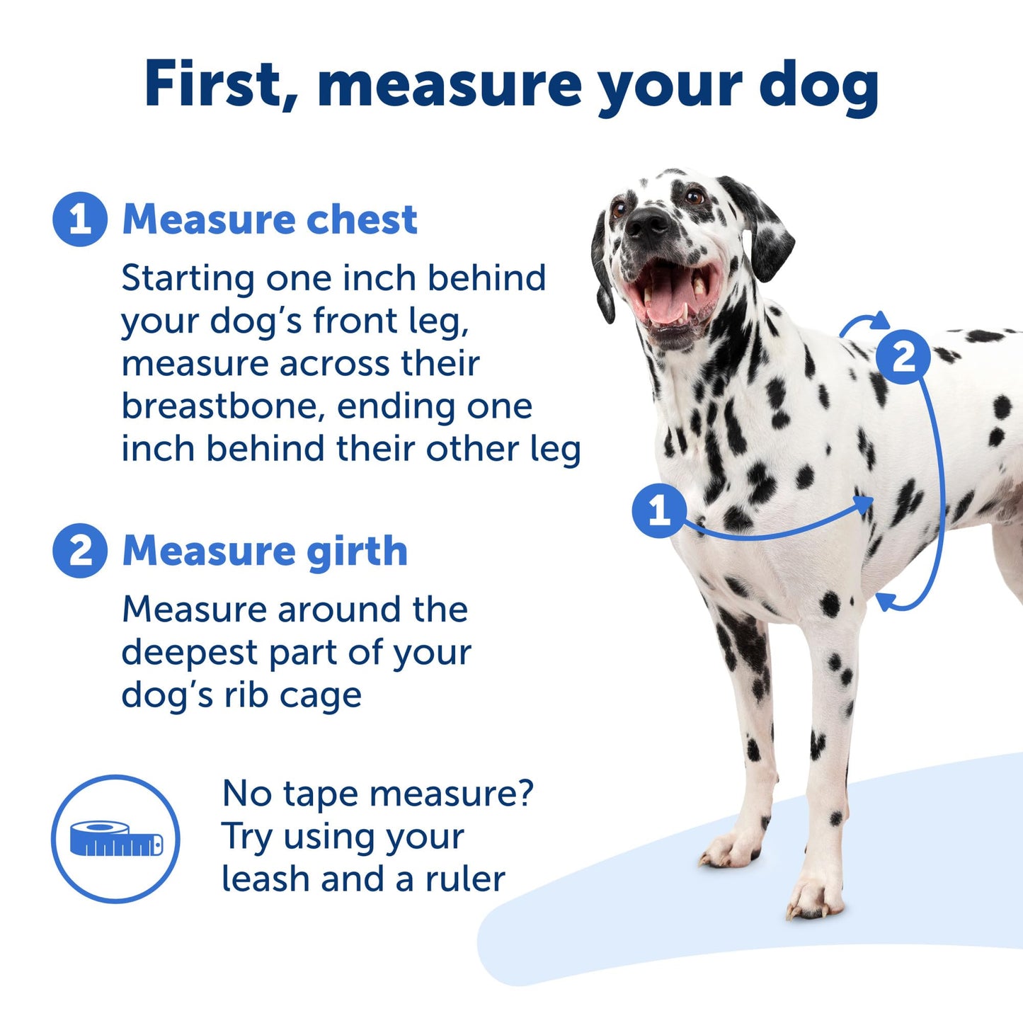 PetSafe Easy Walk No - Pull Dog Harness - The Ultimate Harness to Help Stop Pulling - Take Control & Teach Better Leash Manners - Helps Prevent Pets Pulling on Walks, Small/Medium, Black/Silver