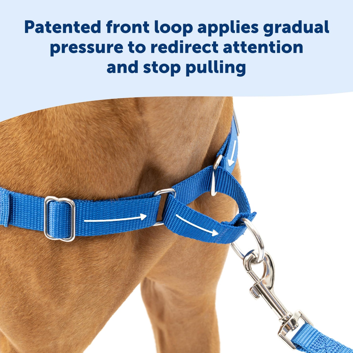 PetSafe Easy Walk No - Pull Dog Harness - The Ultimate Harness to Help Stop Pulling - Take Control & Teach Better Leash Manners - Helps Prevent Pets Pulling on Walks, Small/Medium, Black/Silver