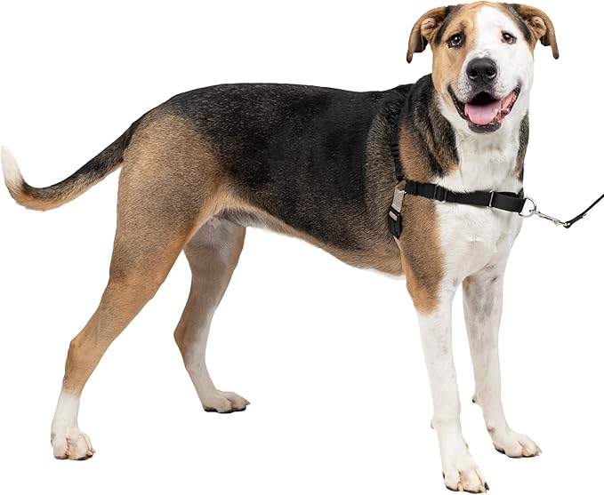 Petsafe Easy walk no pull harness size x - large