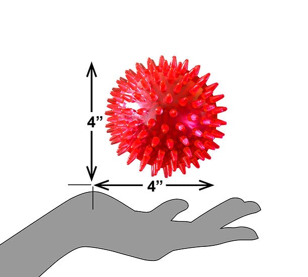 PetSport 4" Gorilla Spiky Squeaker Ball Dog Toy - Large | Play Fetch with Durable TPR Rubber | Cleans Teeth, Promotes Good Dental and Gum Health for Your Pet, Colors Will Vary
