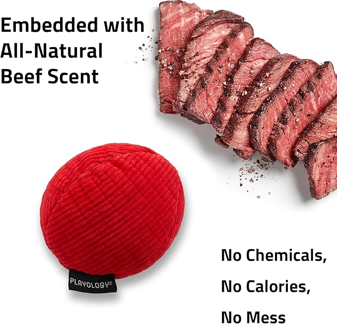 Playology all natural beef large dog toy