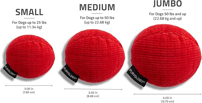 Playology all natural beef large dog toy