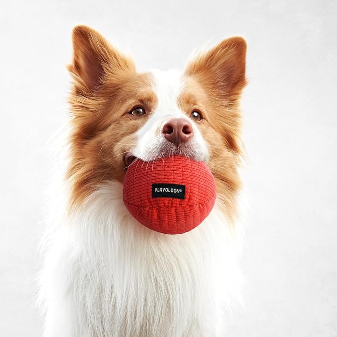 Playology all natural beef large dog toy