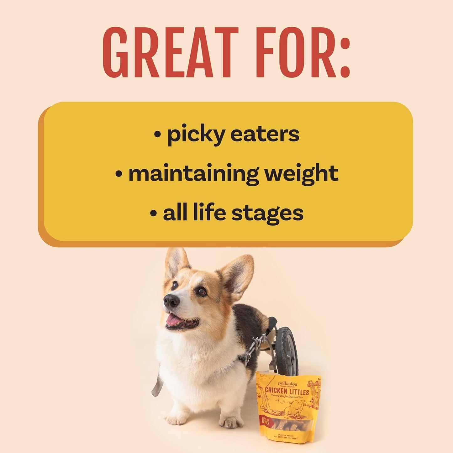 Polkadog chicken littles bone dog treats 7oz cat treats crunchy treats