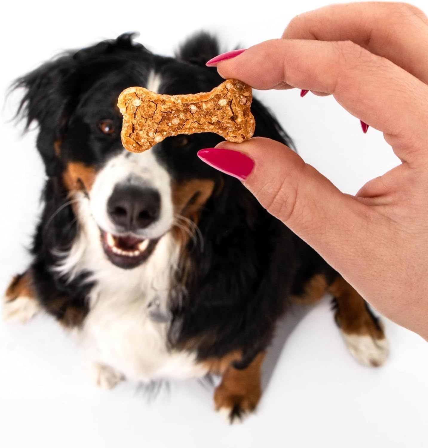 Polkadog chicken littles bone dog treats 7oz cat treats crunchy treats