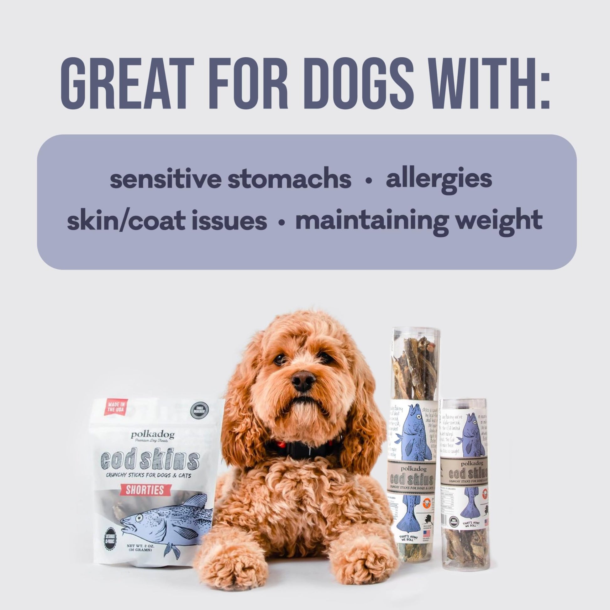 Polkadog Cod Skins Dog Treat - Lean Protein, Made In Usa, Single - Ingredient, Grain & Gluten Free, For All Breeds - Crunchy Fish Skin Treat For Teeth Health, 4.7Oz Regular