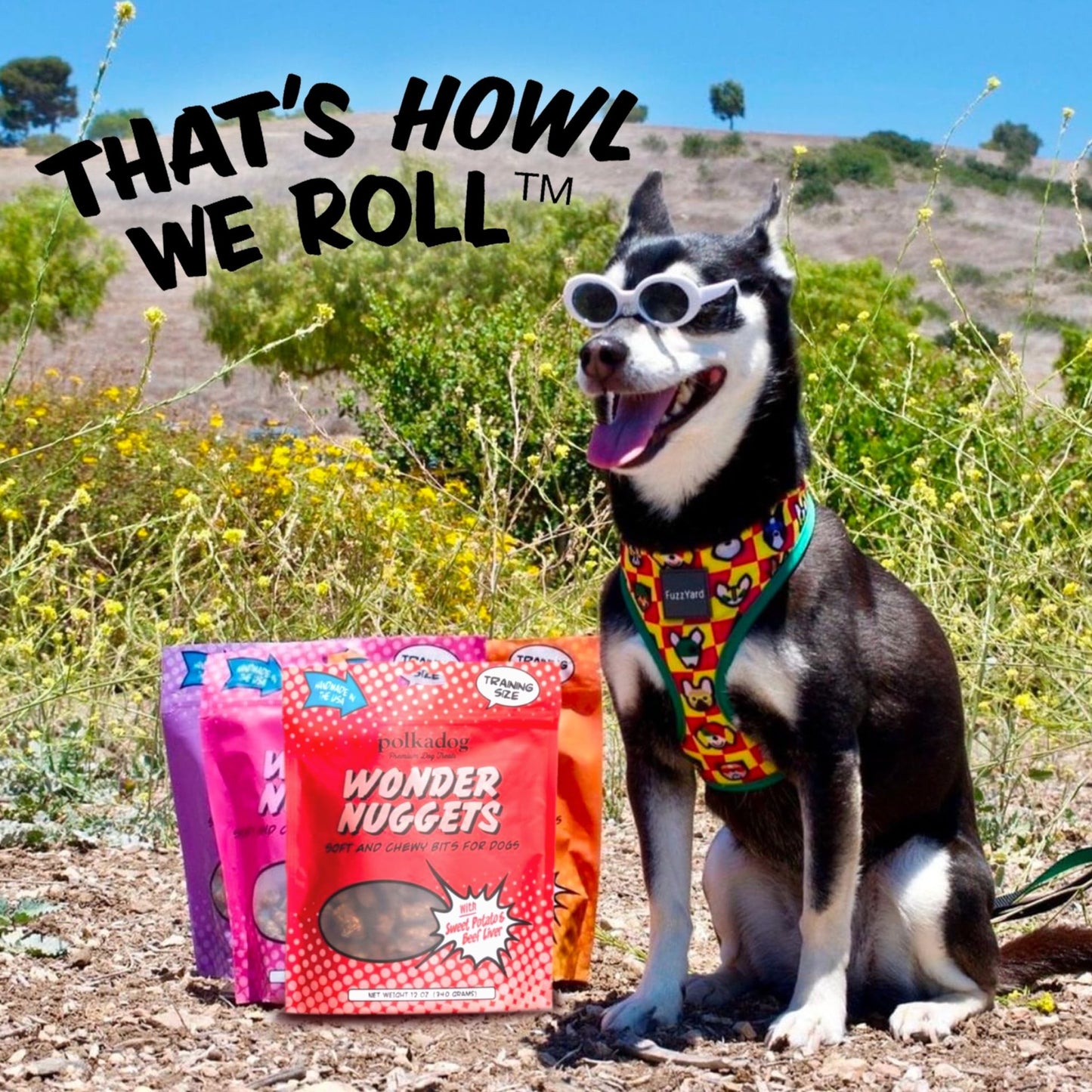 Polkadog Sweet Potato & Beef Wonder Nuggets Dog Treats All - Natural Pet Training Treats For Dogs – Healthy, Handmade Puppy Snacks – Bite - Sized, Soft, Chewy Treats For Pets 10 Oz