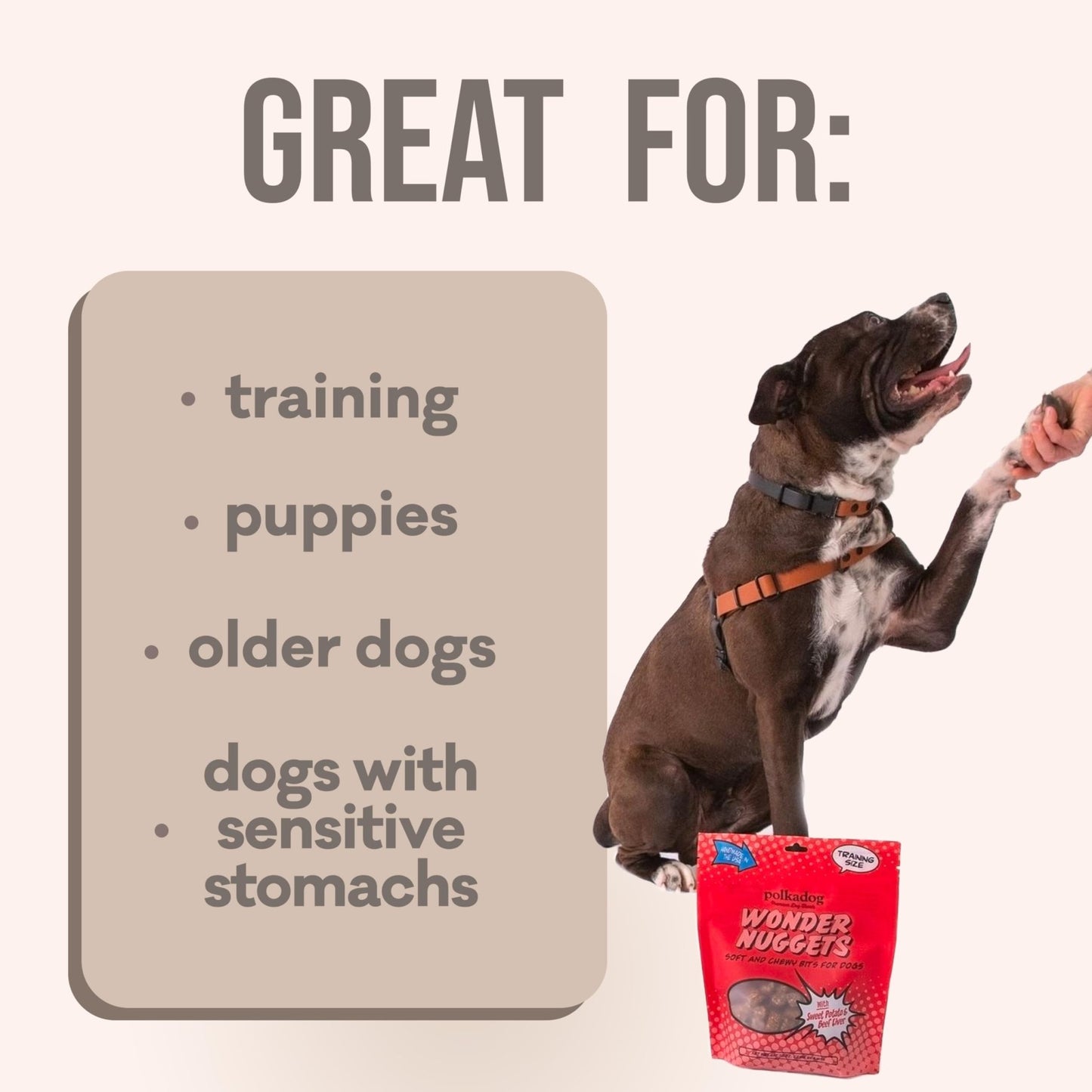 Polkadog Sweet Potato & Beef Wonder Nuggets Dog Treats All - Natural Pet Training Treats For Dogs – Healthy, Handmade Puppy Snacks – Bite - Sized, Soft, Chewy Treats For Pets 10 Oz