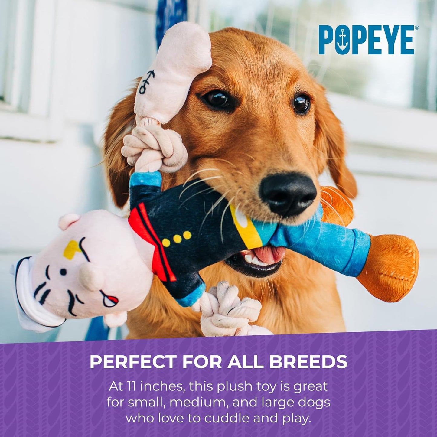 Popeye dog toy