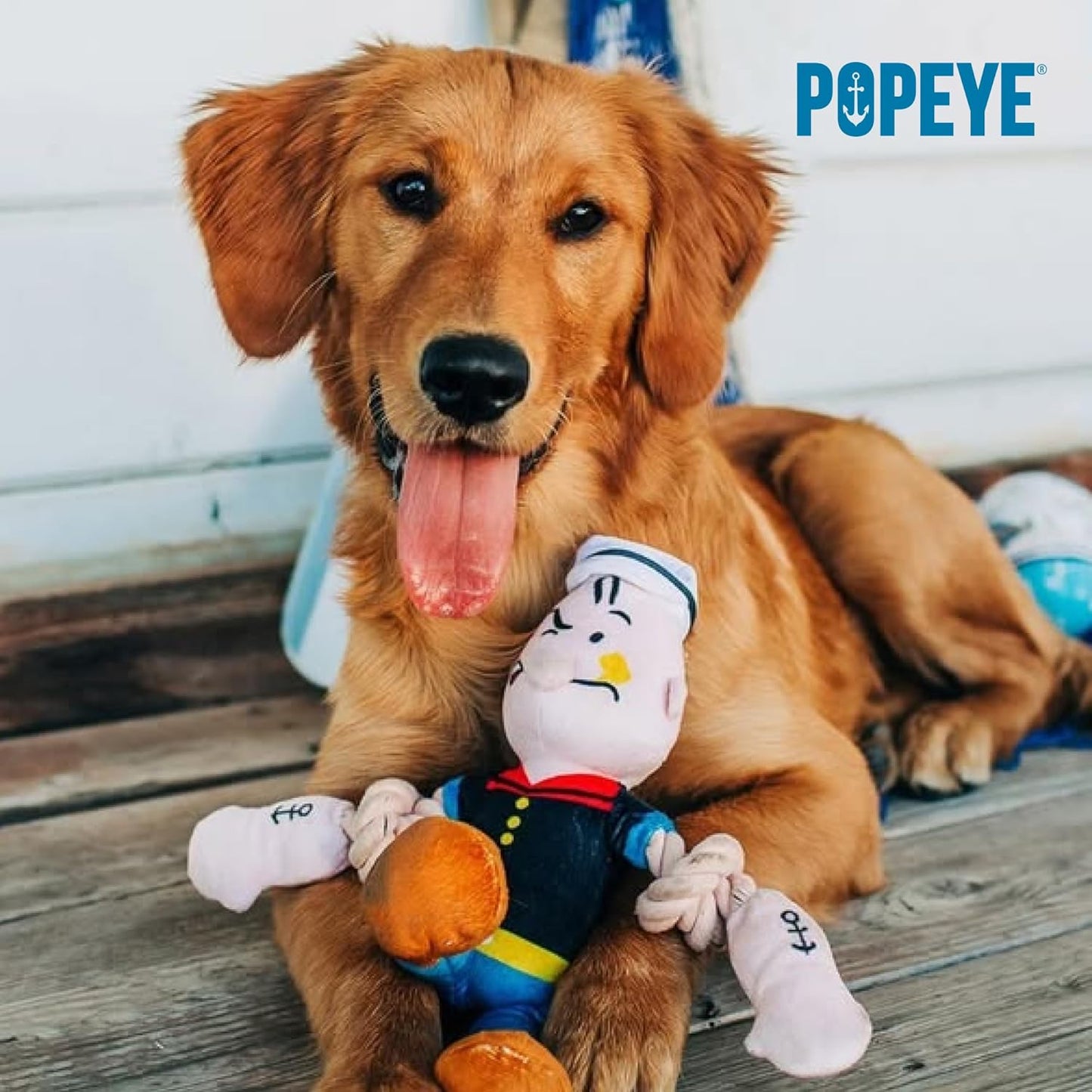 Popeye dog toy