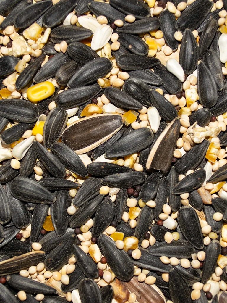 Premium wild bird superior blend 5lbs