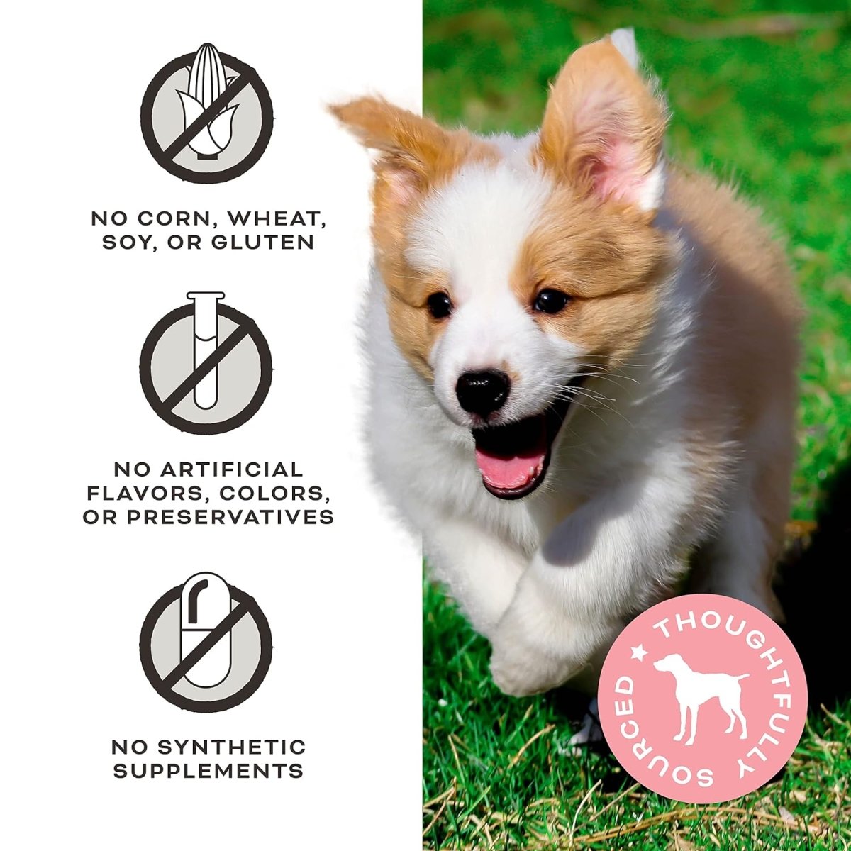 Primal Freeze Dried Dog Treats - Chicken & Banana Dog Treats with Goat Milk for Dogs - Peelin' Fantastic - Grain Free Training Treats for Dogs with Probiotics - 2 oz