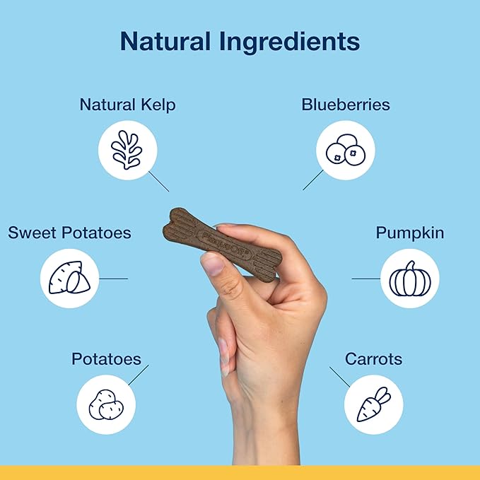 Proden plaque off system mini dental care bones vegetable fusion & blueberry 12oz dog dental treats