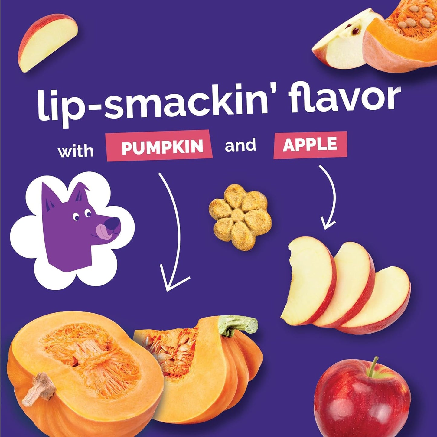 Pumpkin apple Fruitables healthy dog treats 12 oz