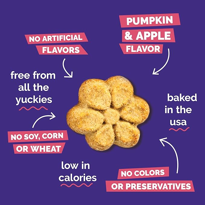 Pumpkin apple Fruitables healthy dog treats 12 oz