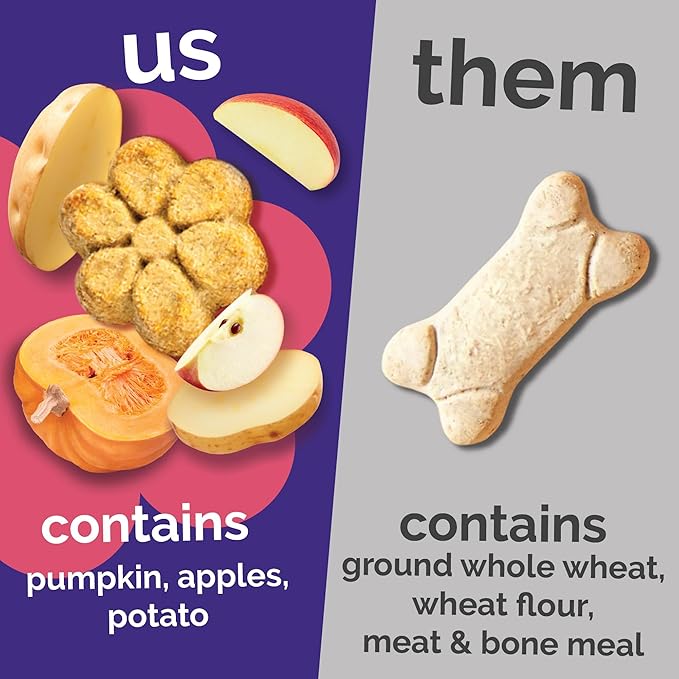 Pumpkin apple Fruitables healthy dog treats 12 oz