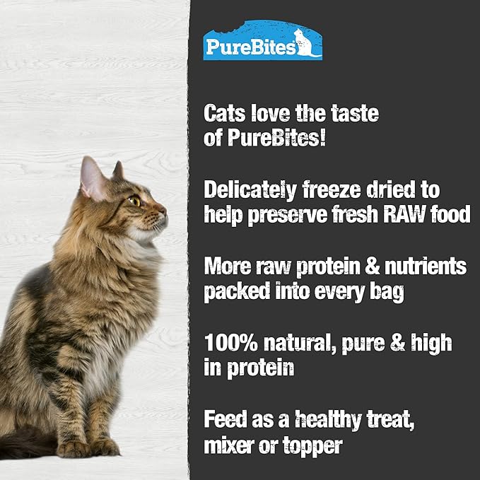 Pure bites freeze dried wild caught salmon