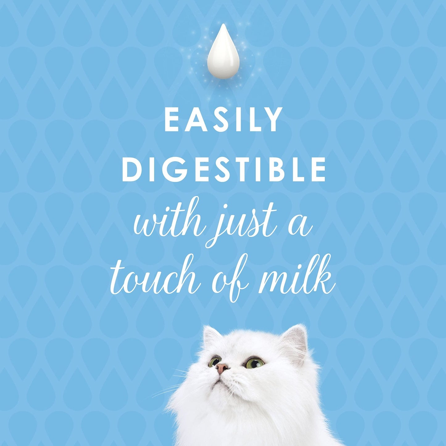 Purina Fancy Feast Creamy Delights Wet Cat Food Variety Salmon)
