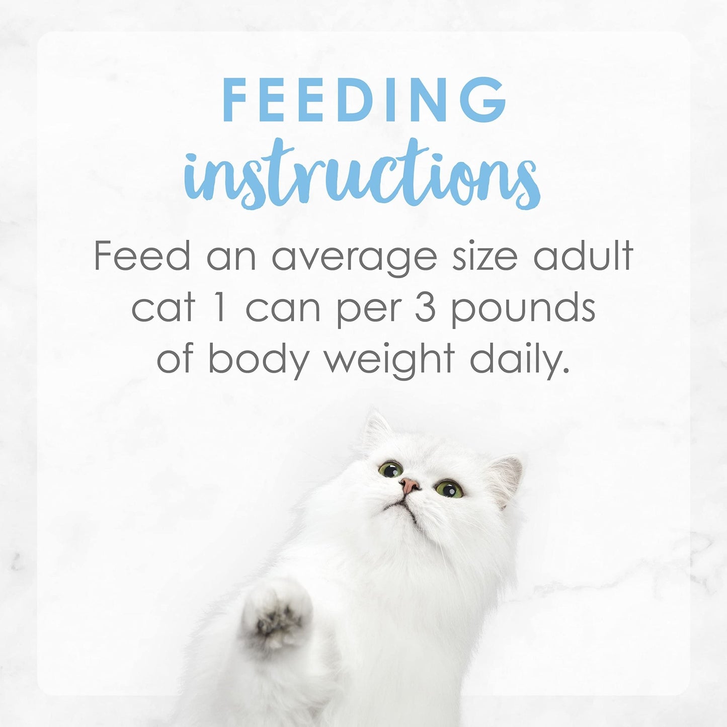 Purina Fancy Feast Creamy Delights Wet Cat Food Variety Salmon)