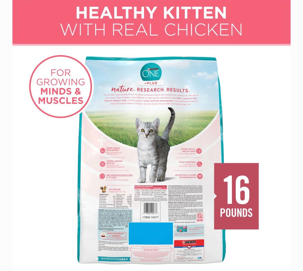 Purina one healthy kitten formula 16lb dry cat food