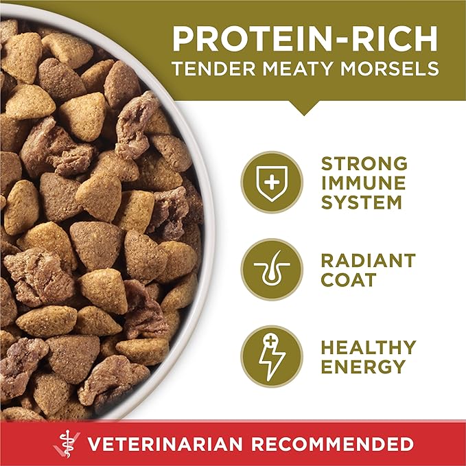 Purina one lamb & rice formula 8lbs dry dog food