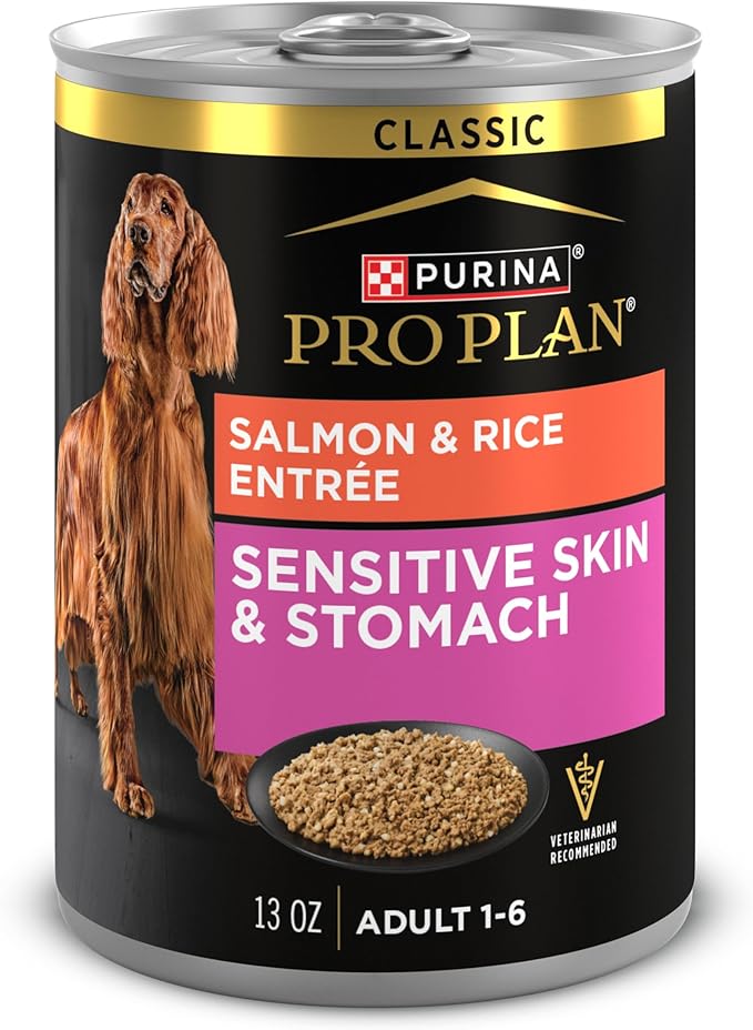 Purina pro plan canned food sensitive stomach salmon and rice entree 13 oz
