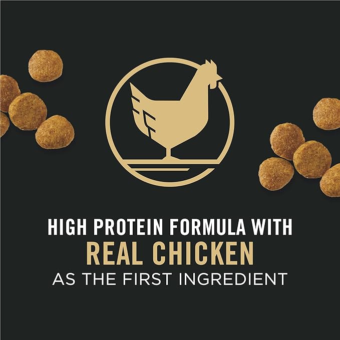 Purina pro plan puppy chicken & rice formula dry dog food kibble 6lbs